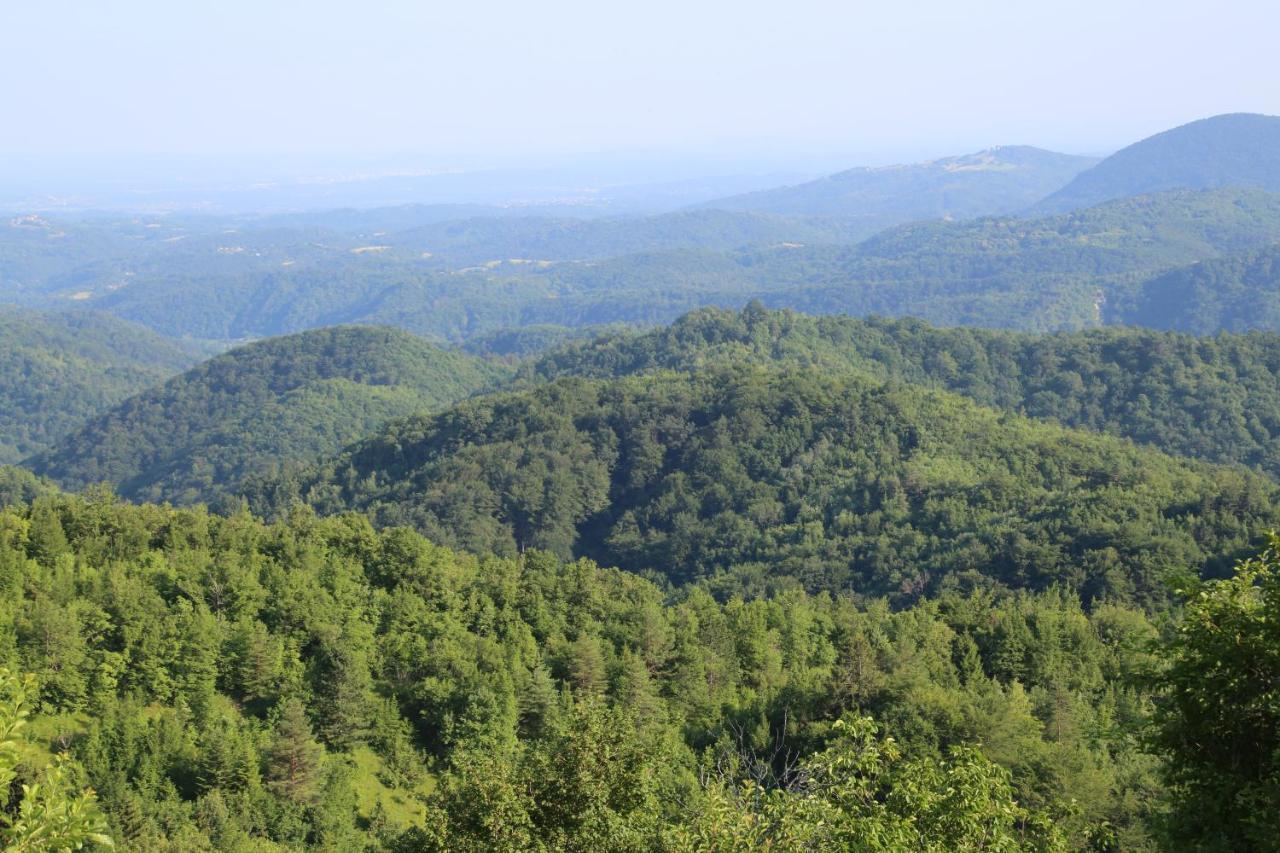 Kuca Za Odmor Koprivnjak Tomasevci Экстерьер фото